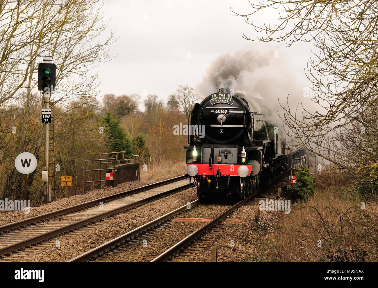 Der Cathedrals Express, der durch Pewsey raste, wird von der Klasse A1 Pacific No 60163 Tornado gezogen. 14.. Februar 2010. Stockfoto