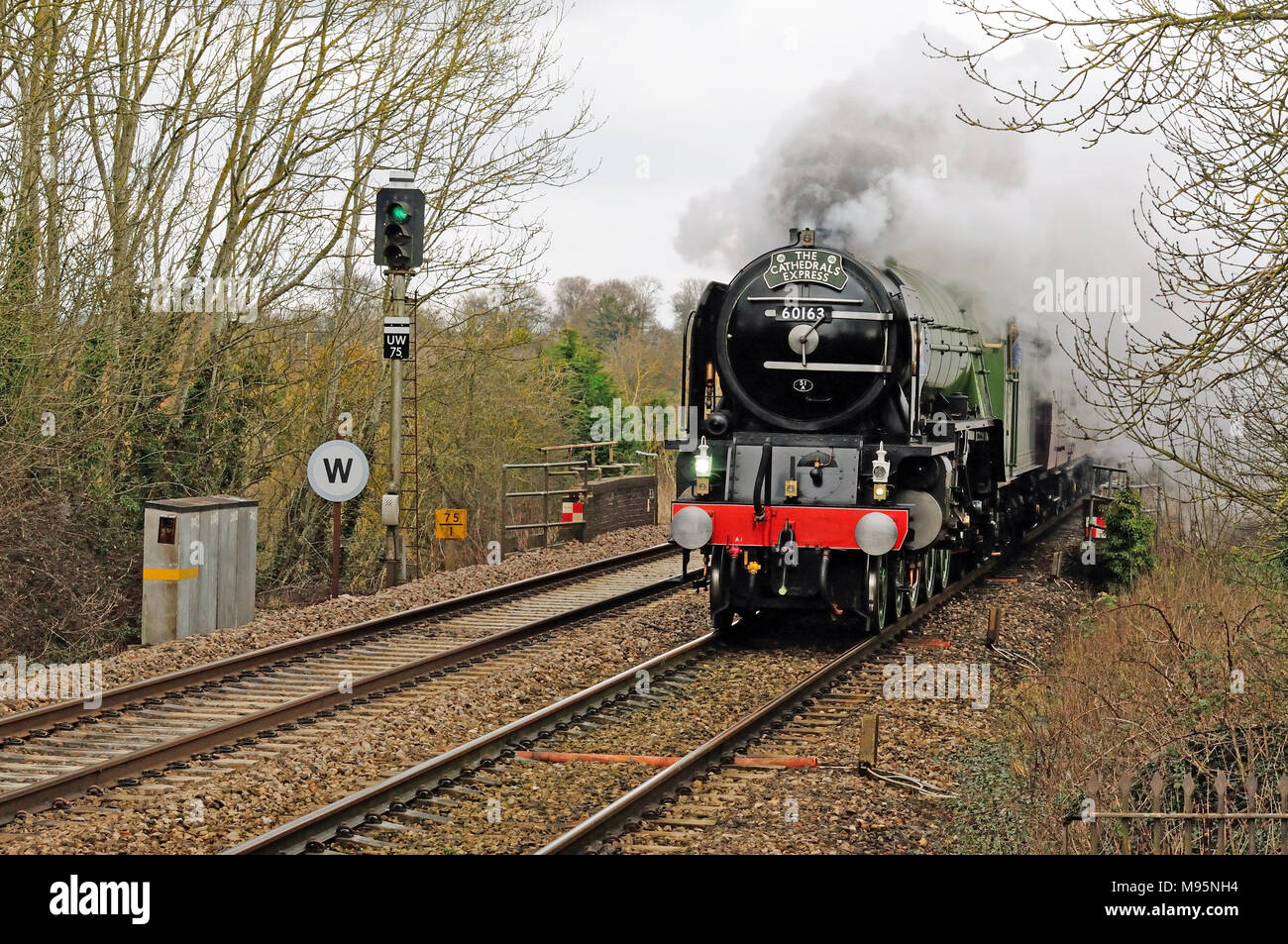 Der Cathedrals Express, der durch Pewsey raste, wird von der Klasse A1 Pacific No 60163 Tornado gezogen. 14.. Februar 2010. Stockfoto