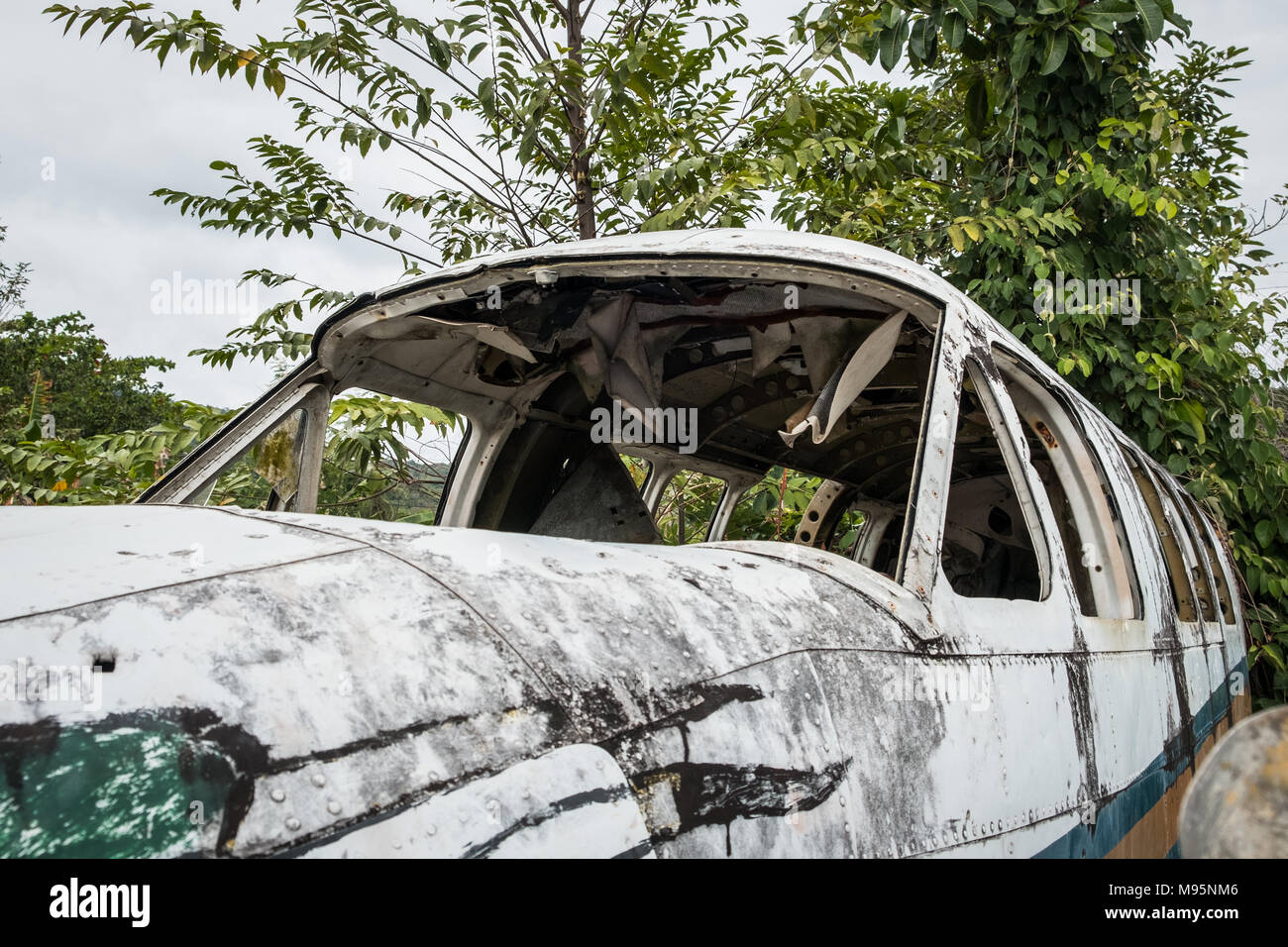 Zerstörte Flugzeug Cockpit im Dschungel - alte Propellermaschinen im Wald - Stockfoto