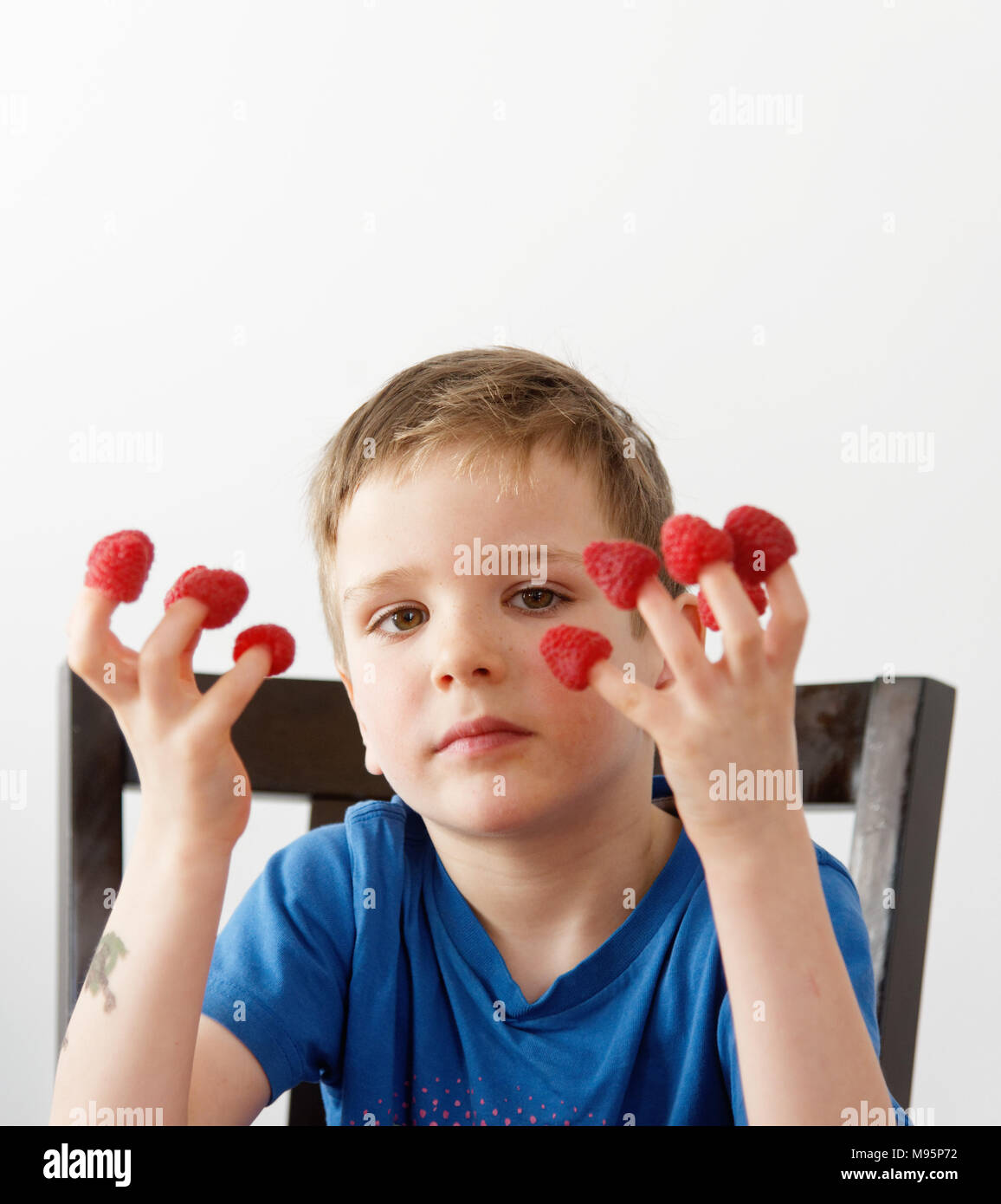 Ein kleiner Junge (5 Jahre alt) mit Himbeeren auf seine Finger Stockfoto