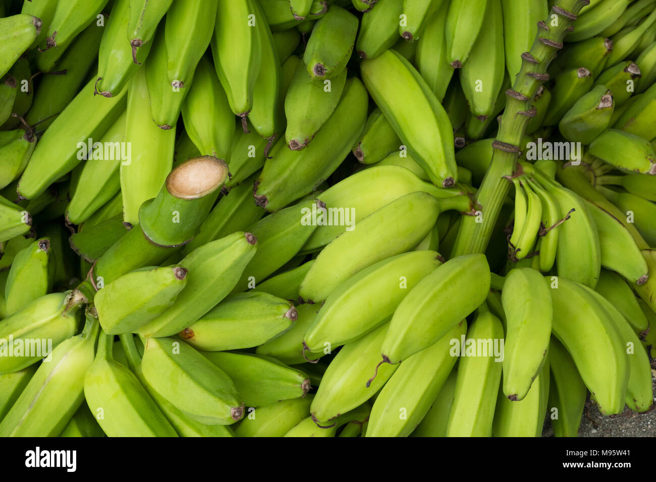 Koch banane -Fotos und -Bildmaterial in hoher Auflösung – Alamy