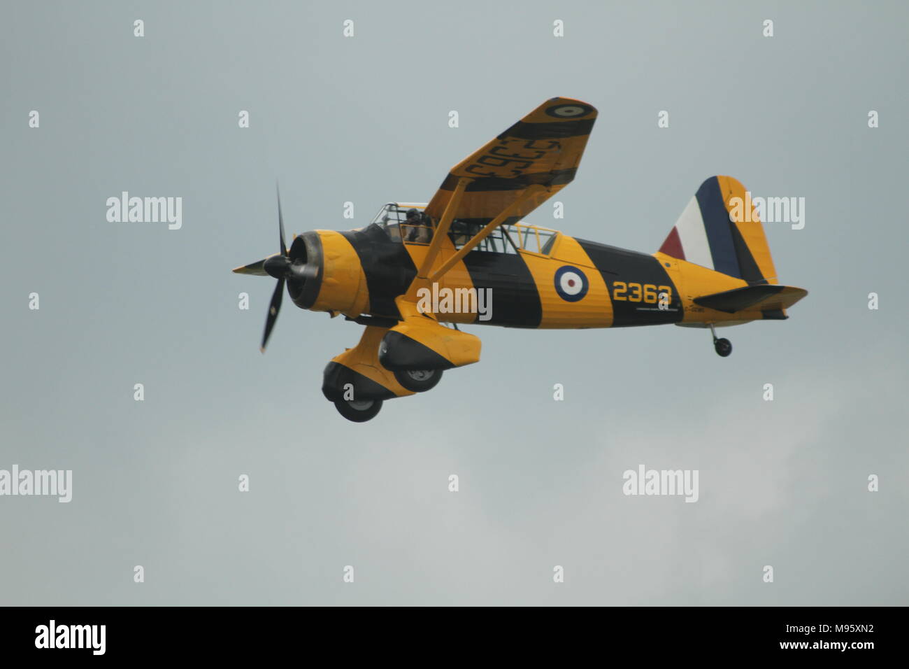 Westland Lysander im Flug während der Hamilton Airshow Stockfoto