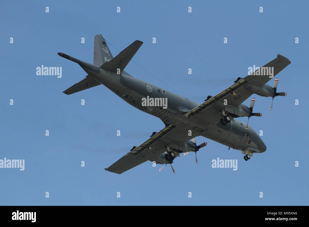 Foto der C-130 Hercules im Flug am Hamilton Airshow Stockfoto