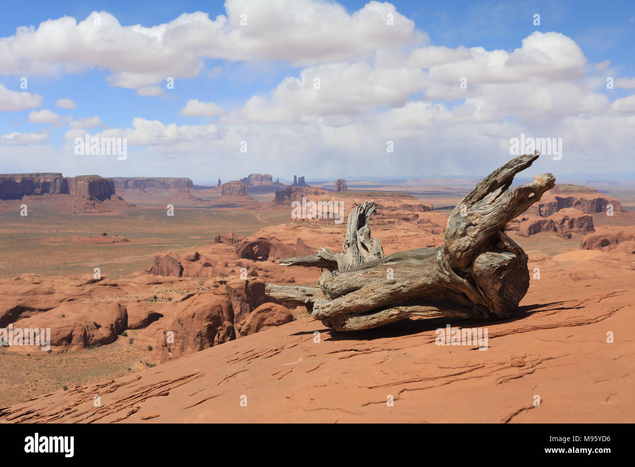 Monument Valley View mit Ast im Vordergrund. Stockfoto