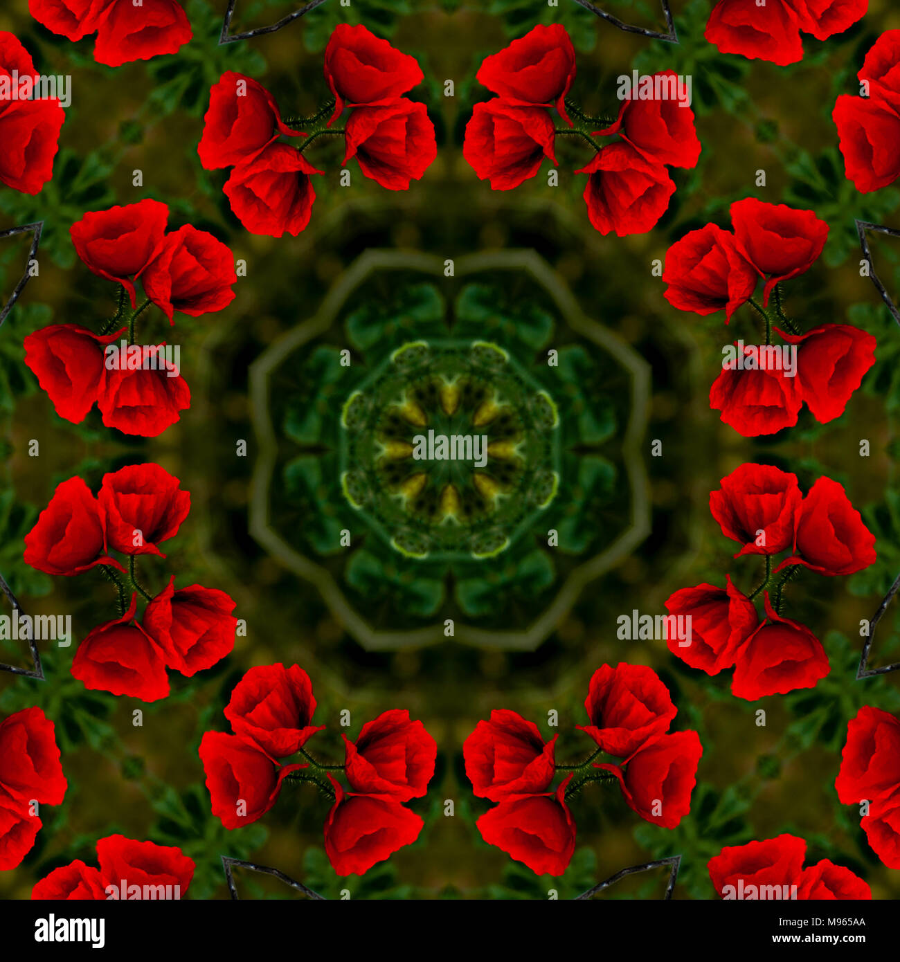 Schöne floral background Kaleidoskop in Grün und Rot Stockfoto