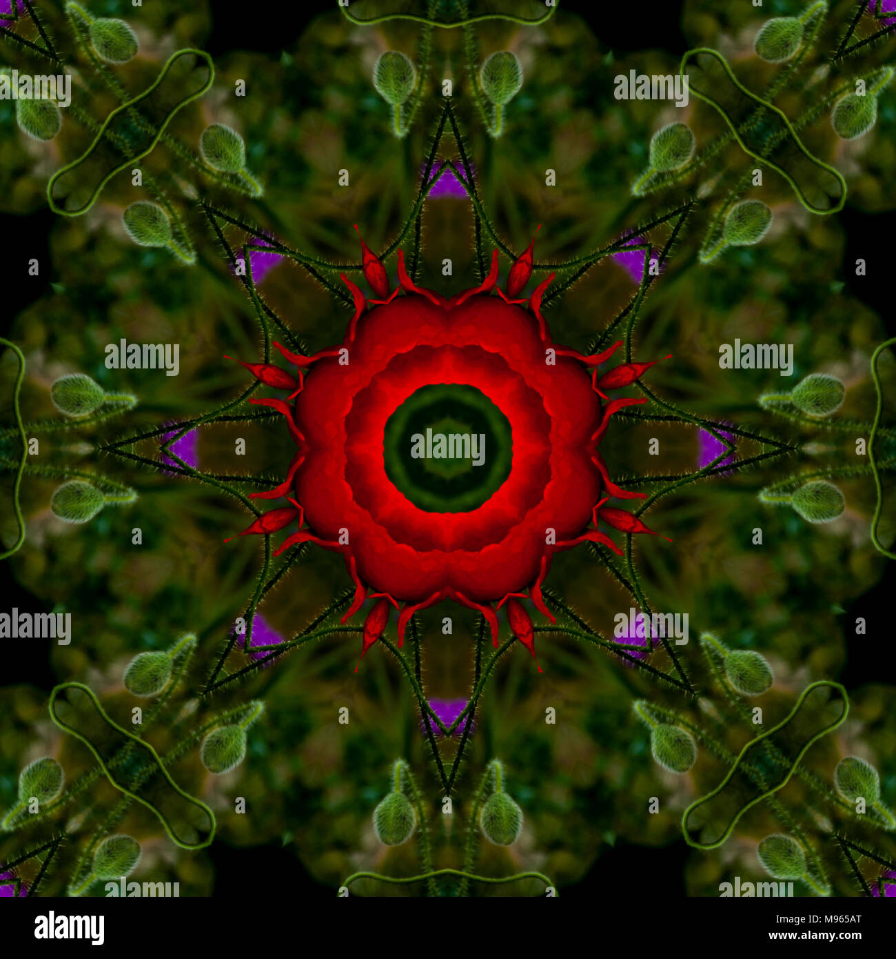 Schöne floral background Kaleidoskop in Grün und Rot Stockfoto