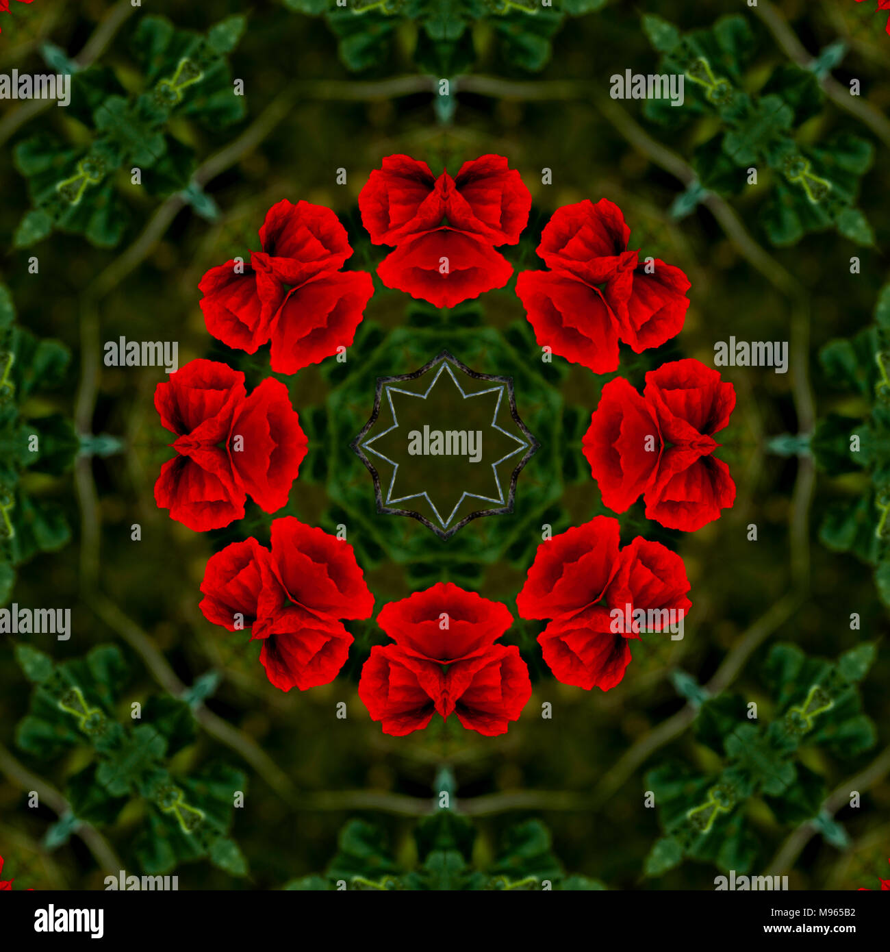 Schöne floral background Kaleidoskop in Grün und Rot Stockfoto