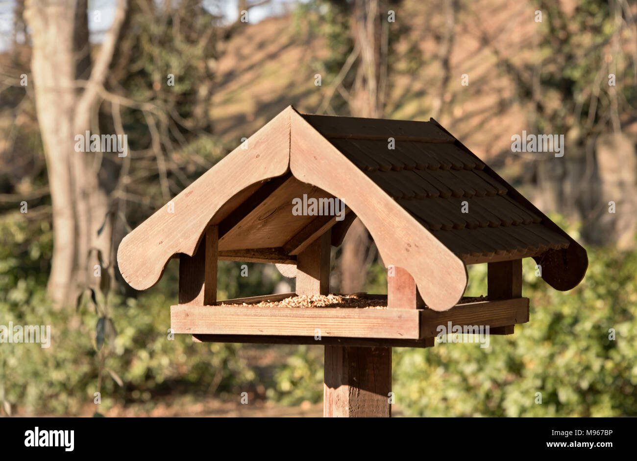 Holz- Bird House auf Post - für die Ernährung von Wildvögeln - im Park, mit Sonnenlicht und Bäume hinter Stockfoto