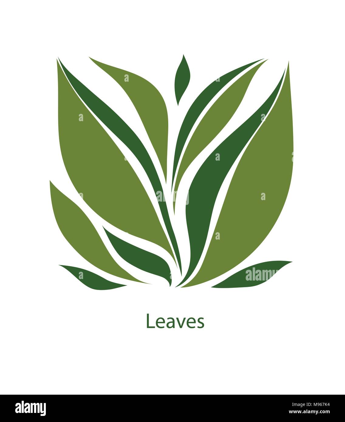 Grüne Blätter von Bäumen und Pflanzen. Elemente für Eco, organischen und bio-Logos. Blätter Symbol Vektor auf weißem Hintergrund. Stock Vektor