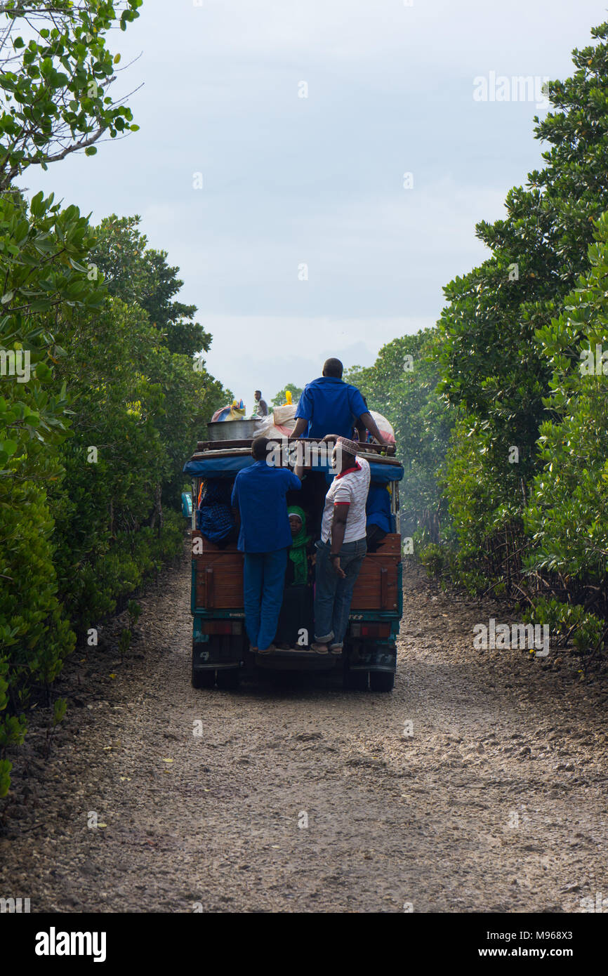 Ein taxi Lkw Passagiere entlang Causeway unter Mangrove Stockfoto