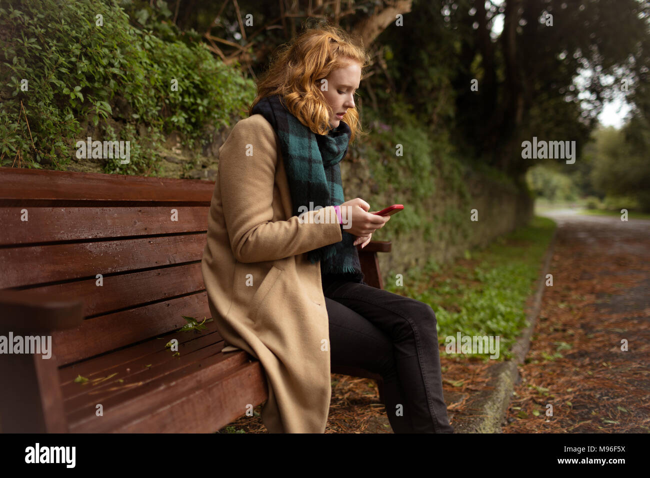 Frau mit Handy im park Stockfoto