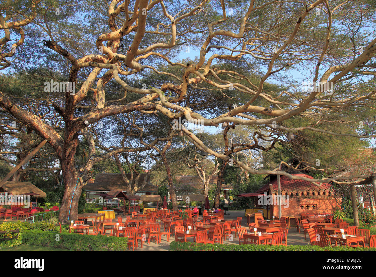 Myanmar, Birma, Bagan, Thande Hotel, Baum, Garten, Restaurant, Stockfoto