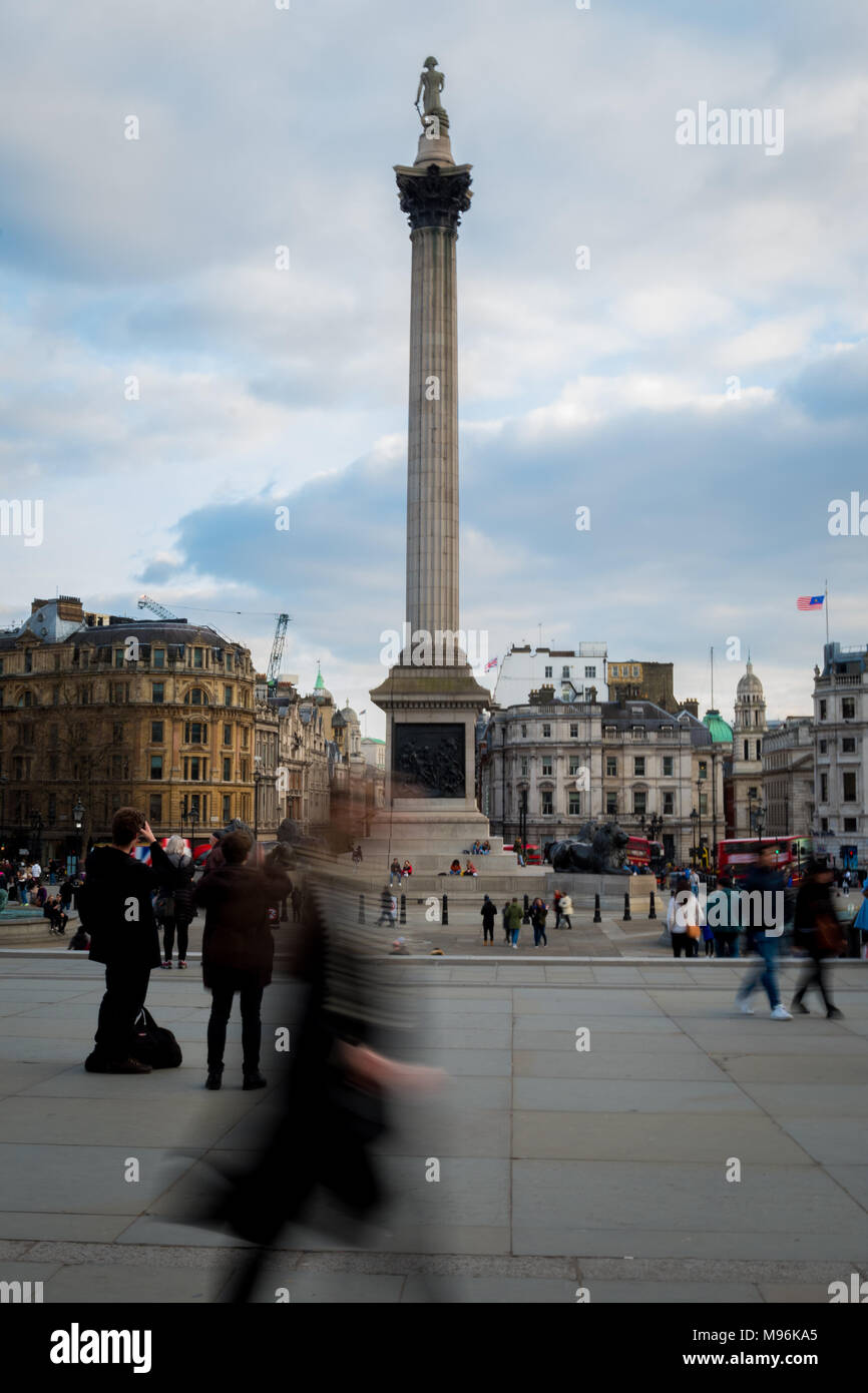 Nelson's Column auf den Trafalgar Square, Westminster, London Stockfoto