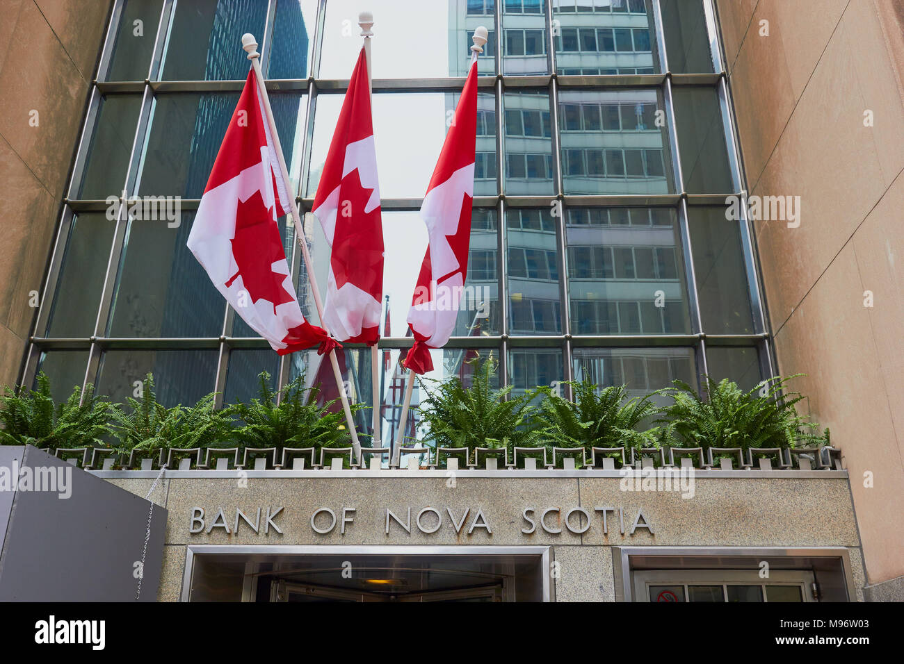 Bank of Nova Scotia (Scotiabank) Toronto, Ontario, Kanada. Stockfoto