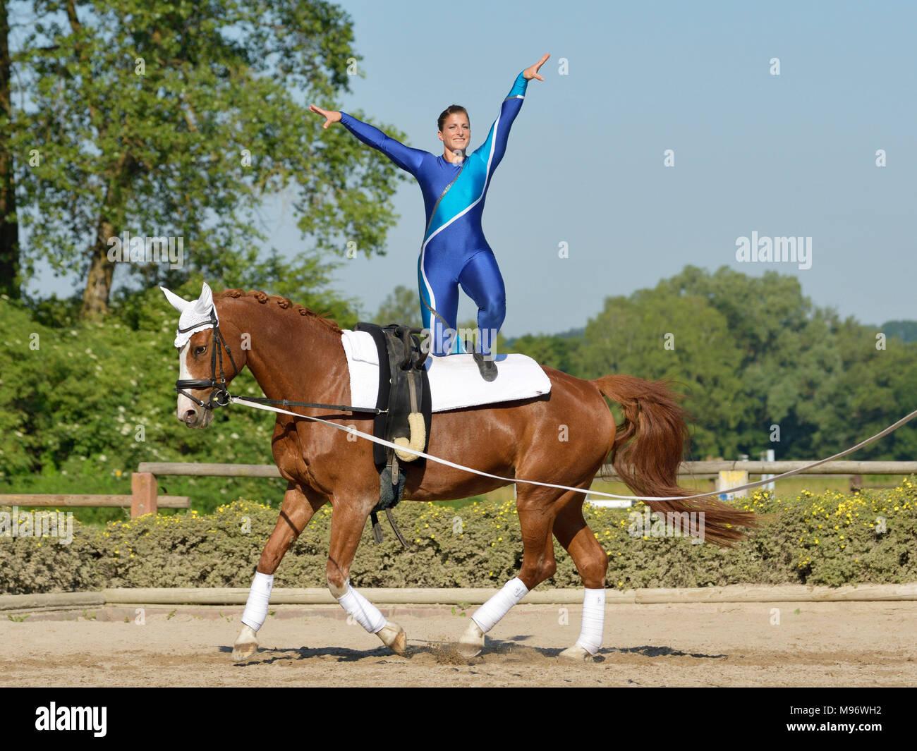 Vaulting Stockfoto Vaulting Stockfoto
