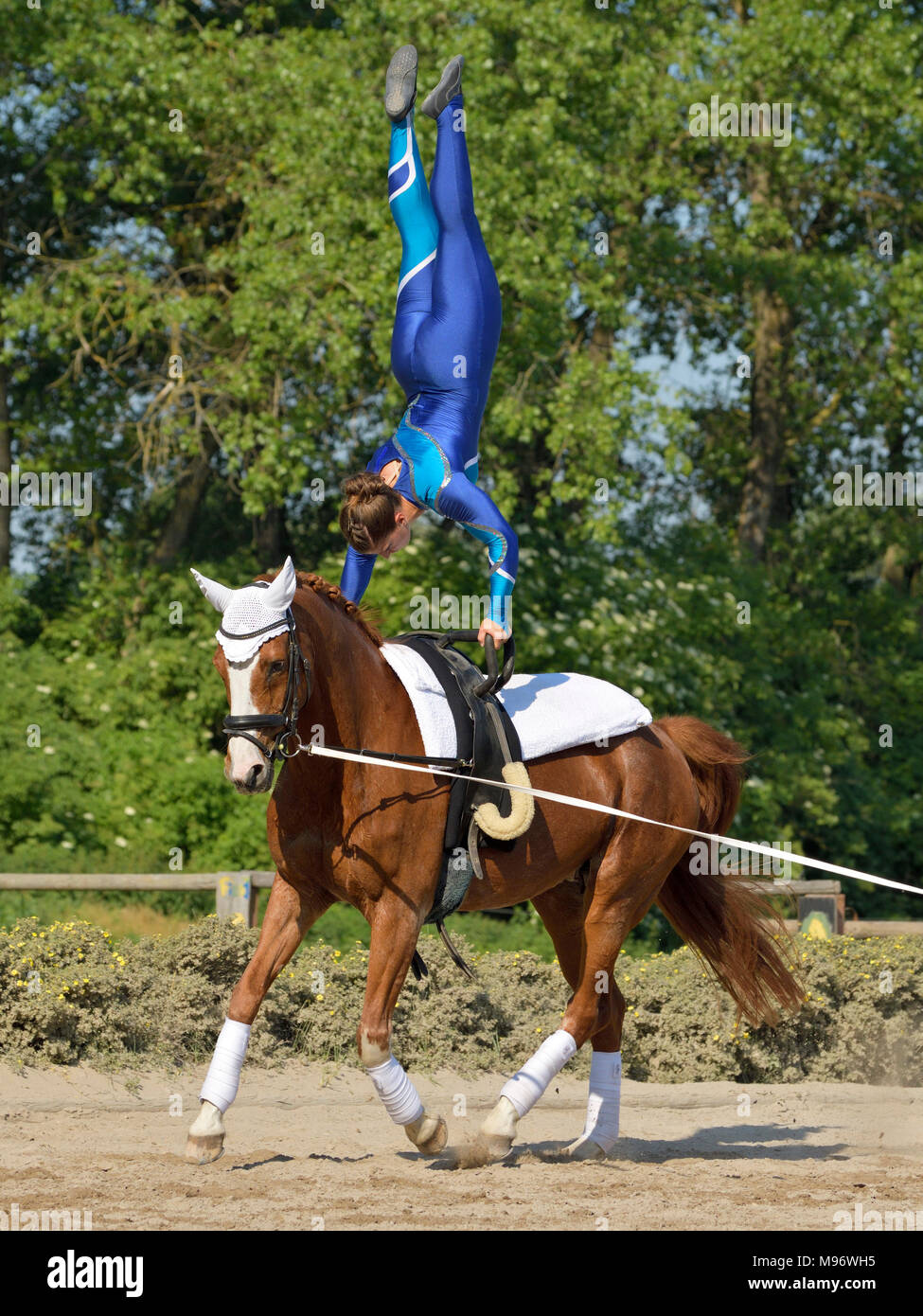 Vaulting Stockfoto Vaulting Stockfoto