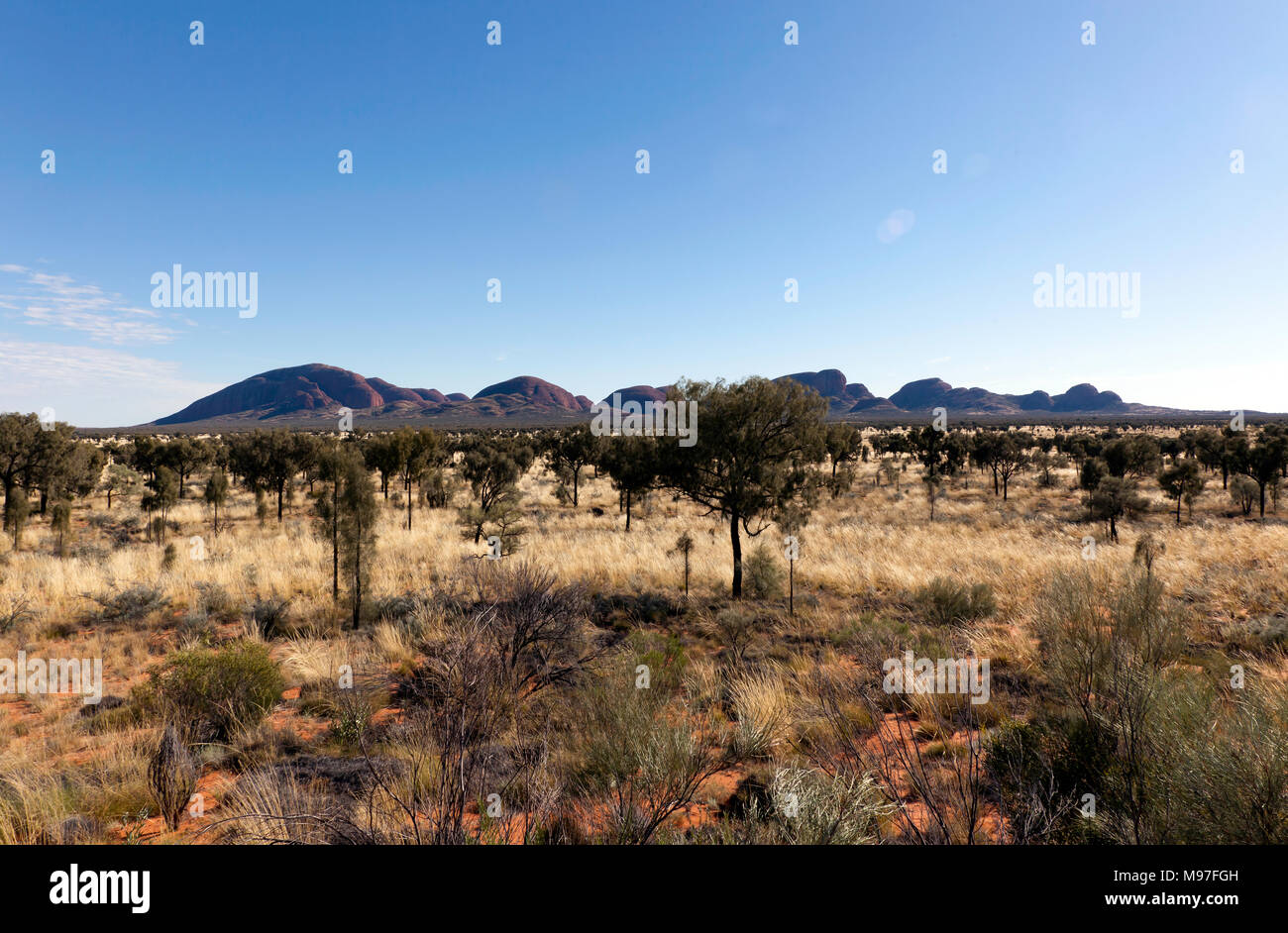Panorama von Kata Tjuta in der Uluru - Kata Tjuta National Park, Northern Territory, Australien Stockfoto