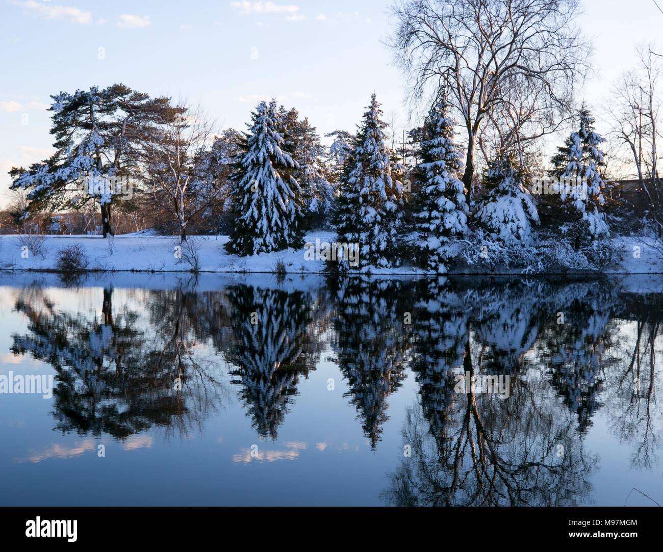 Verschneite Bäume bei Sonnenuntergang mit einer Reflexion in einem ruhigen Teich in Milford Michigan Stockfoto