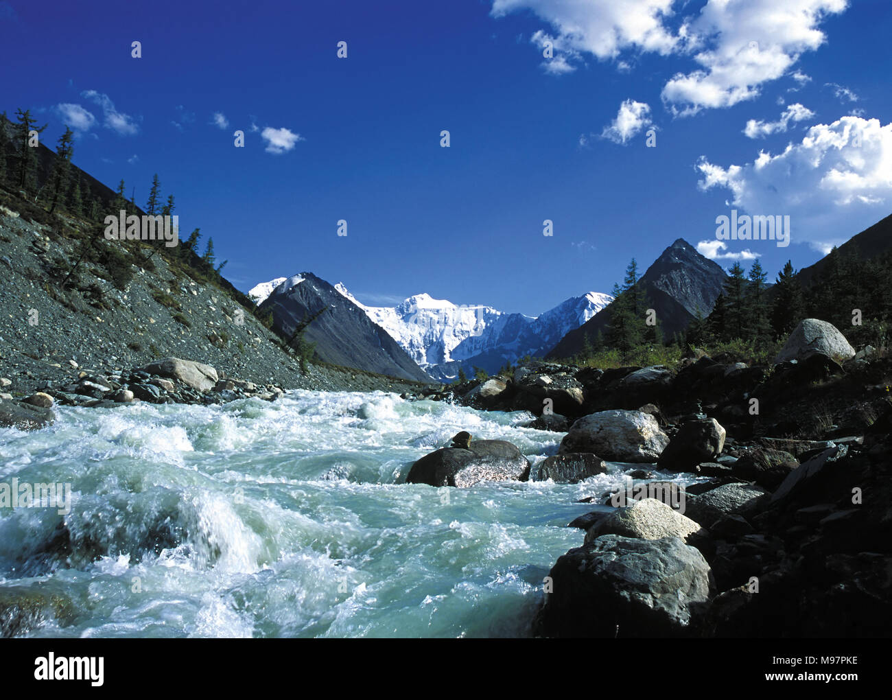 Ak-Kem mountain river, Steine und rauhe Wasser Strom. Altai, Russland Stockfoto