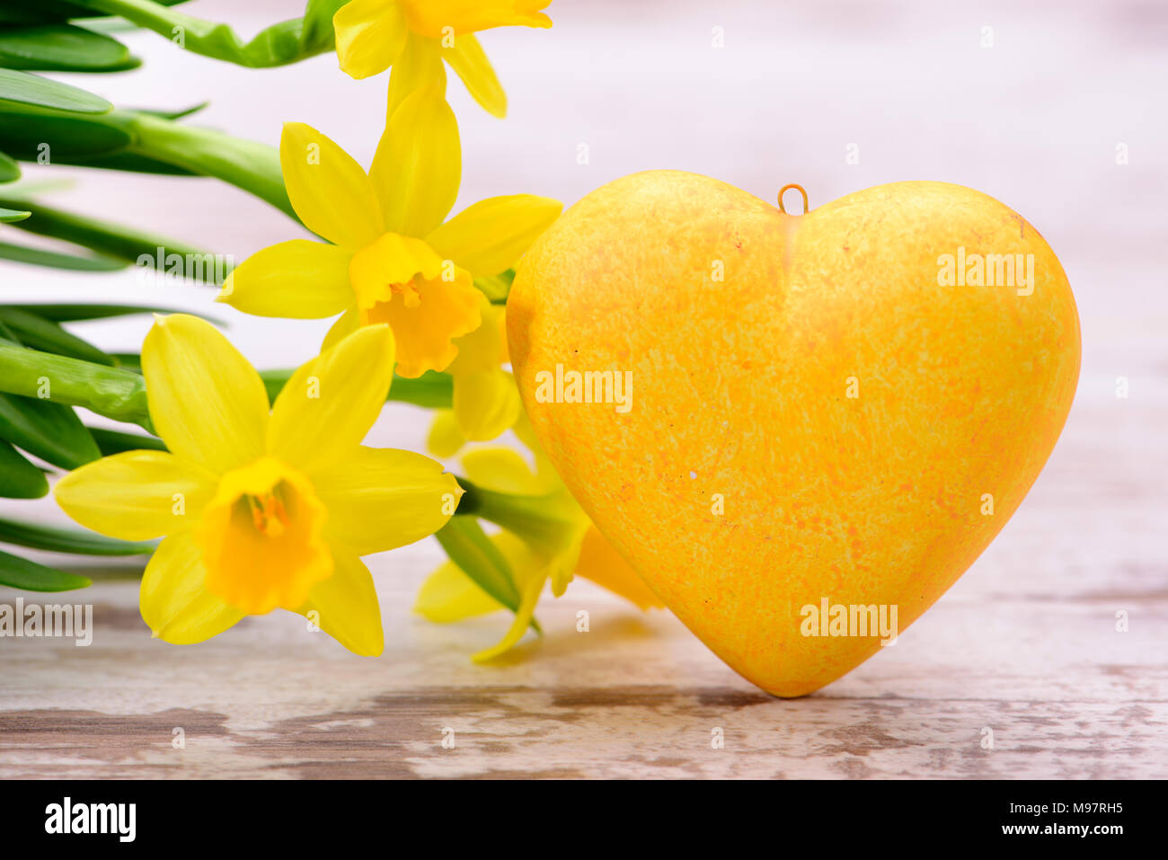 Bündel bunte Tulpen mit Herz und Platz kopieren Stockfoto