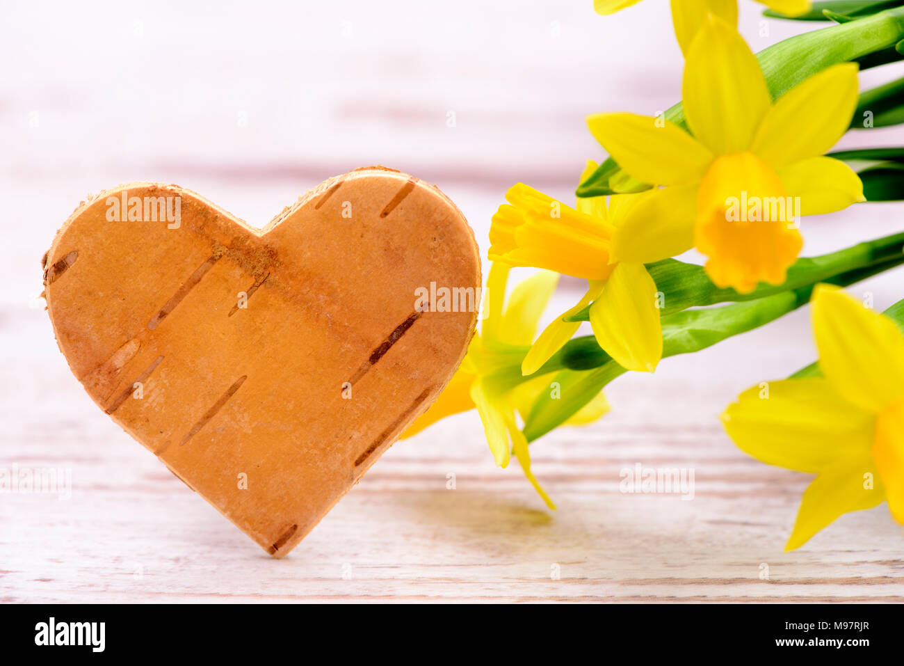 Bündel bunte Tulpen mit Herz und Platz kopieren Stockfoto