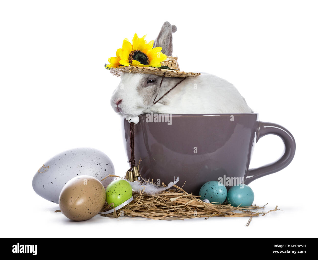 Süße weiß mit grauem Kaninchen in ceremic Schale sitzen mit bunten Ostereier und tragen Hut mit Sonnenblumen auf weißem Hintergrund Stockfoto