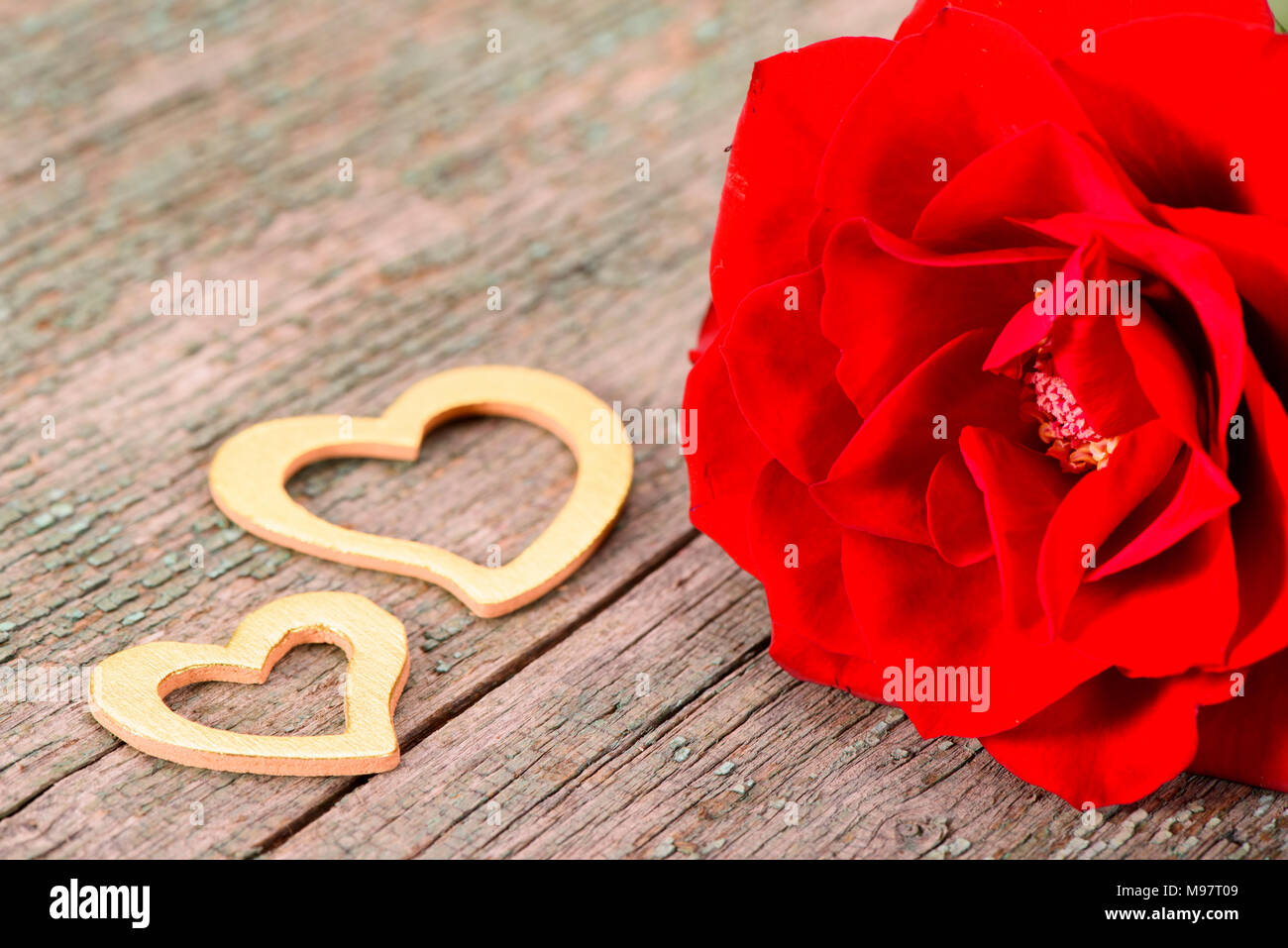 Valentines Tag in Romanze mit Red Rose Stockfoto
