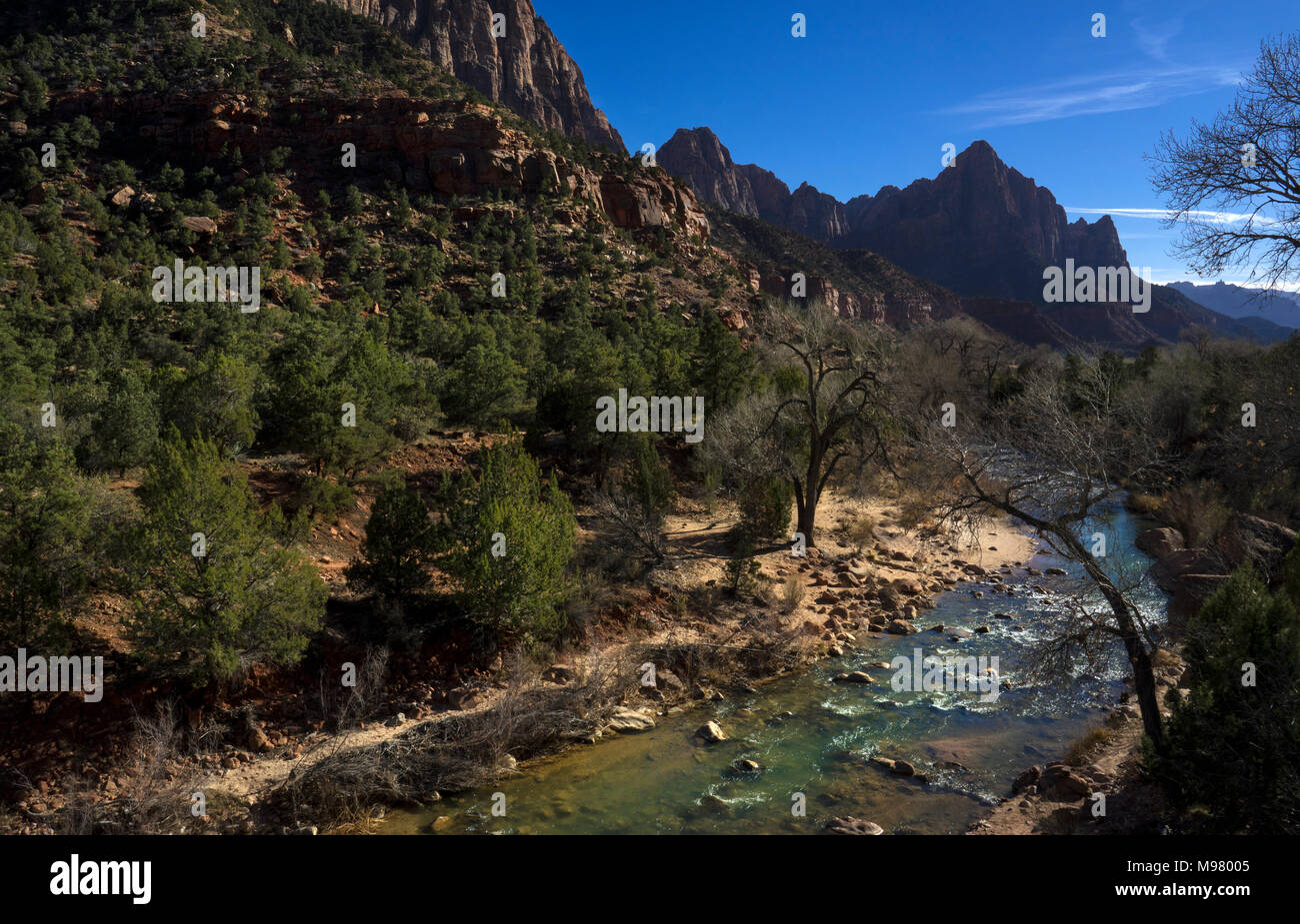 Zion National Park, Utah, Amerika, USA Stockfoto