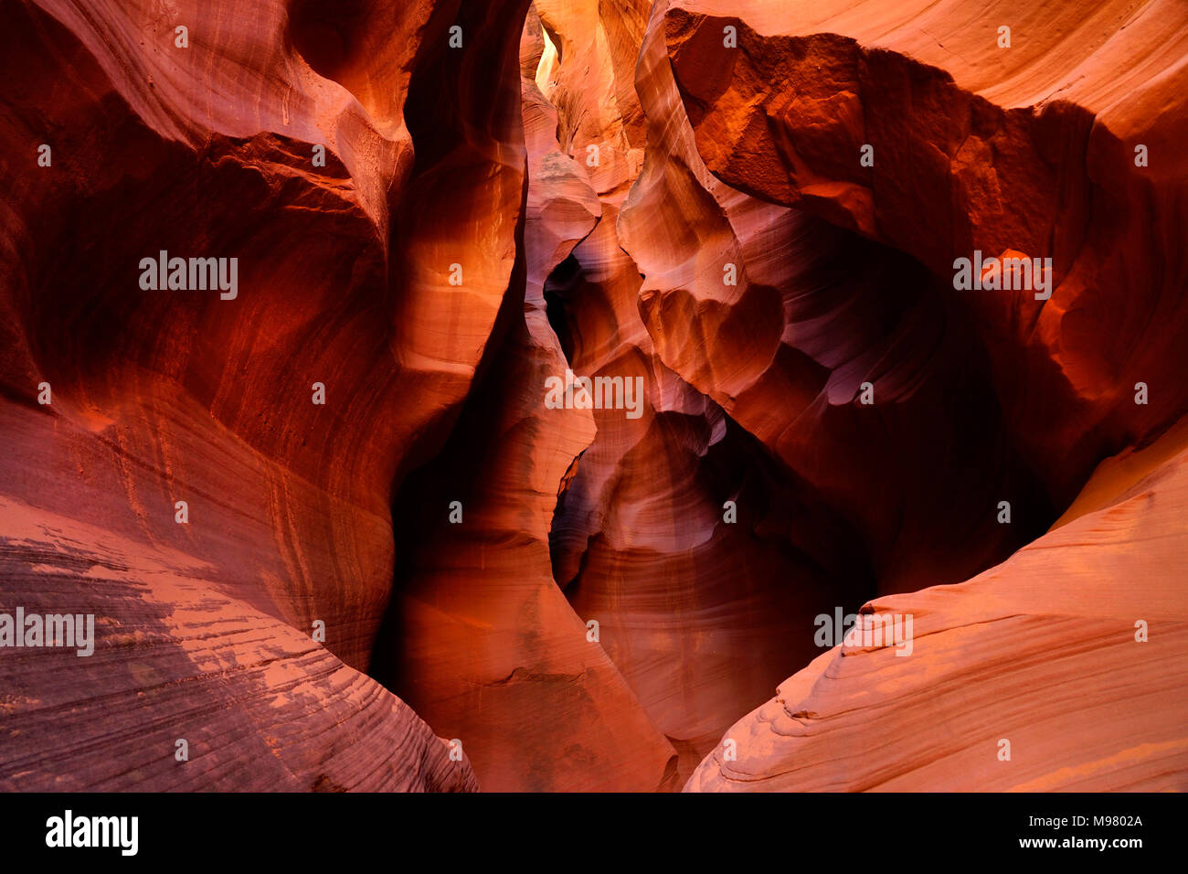 Geheime Slot Canyon, Page, Arizona, Amerika, USA Stockfoto