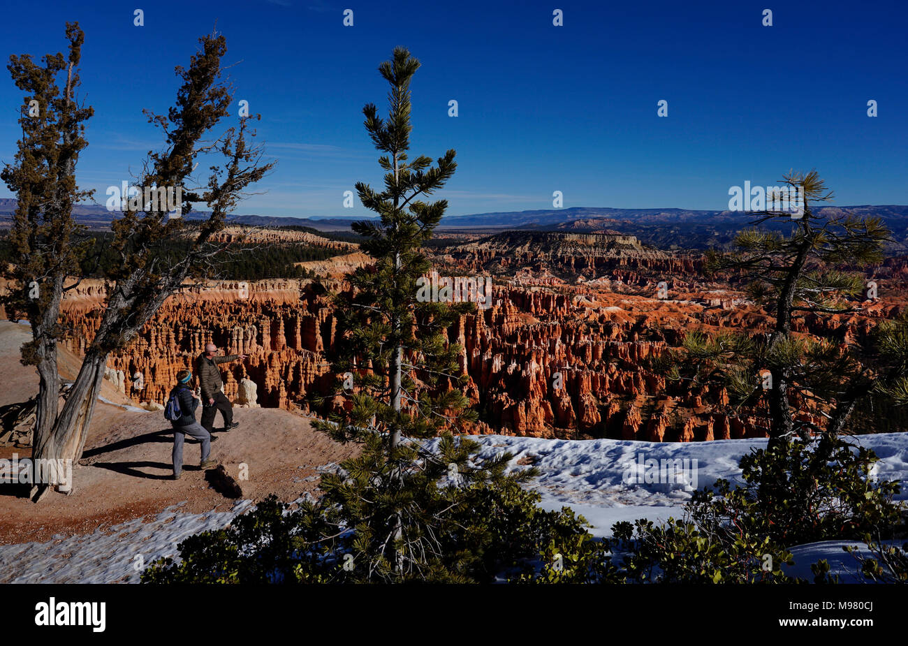 Bryce Canyon National Park, Utah, Amerika, USA Stockfoto