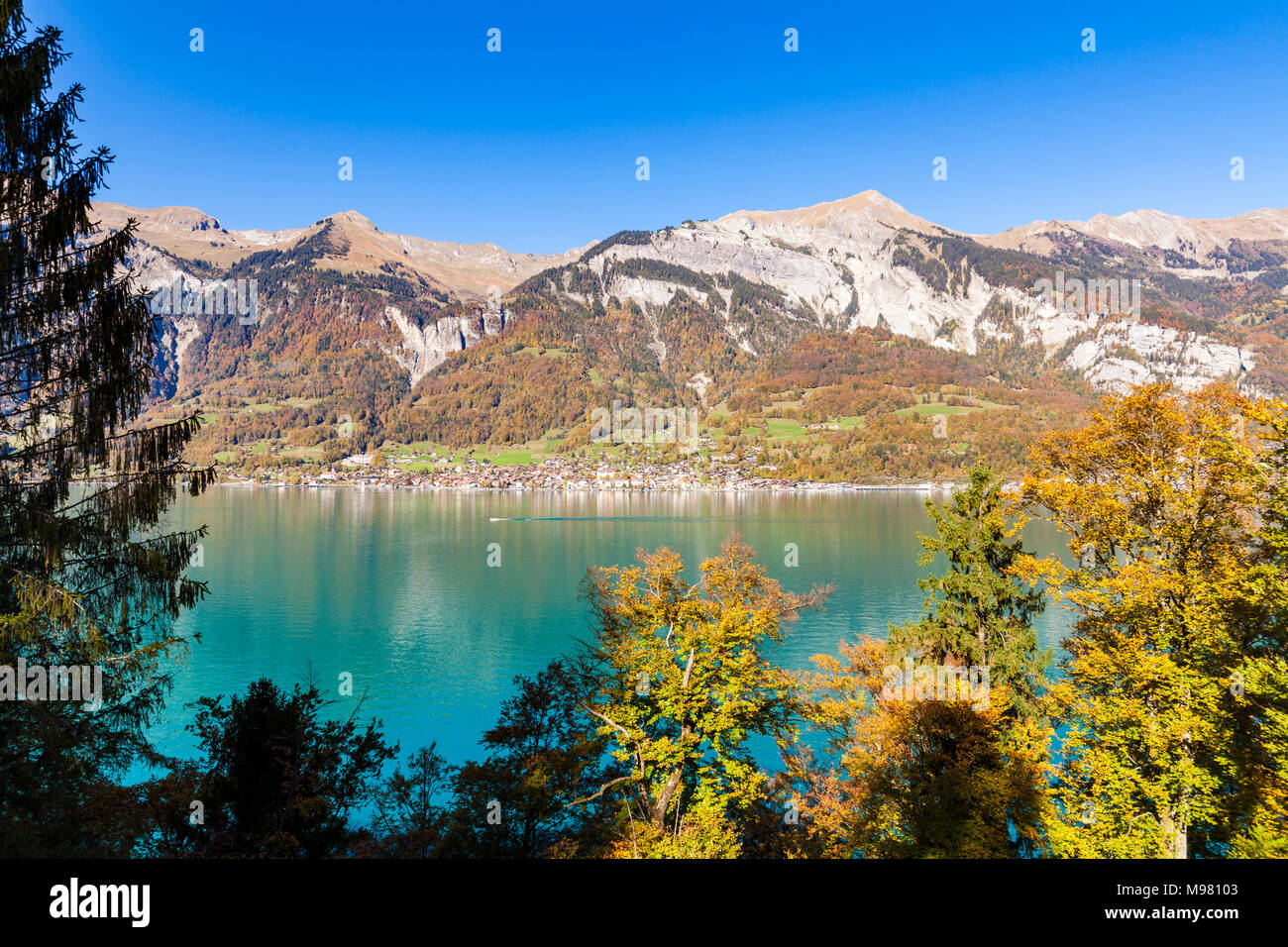 Schweiz, Kanton Bern, Berner Oberland, Brienzersee, Blick nach Oberried, Herbst, Herbstbäume Stockfoto