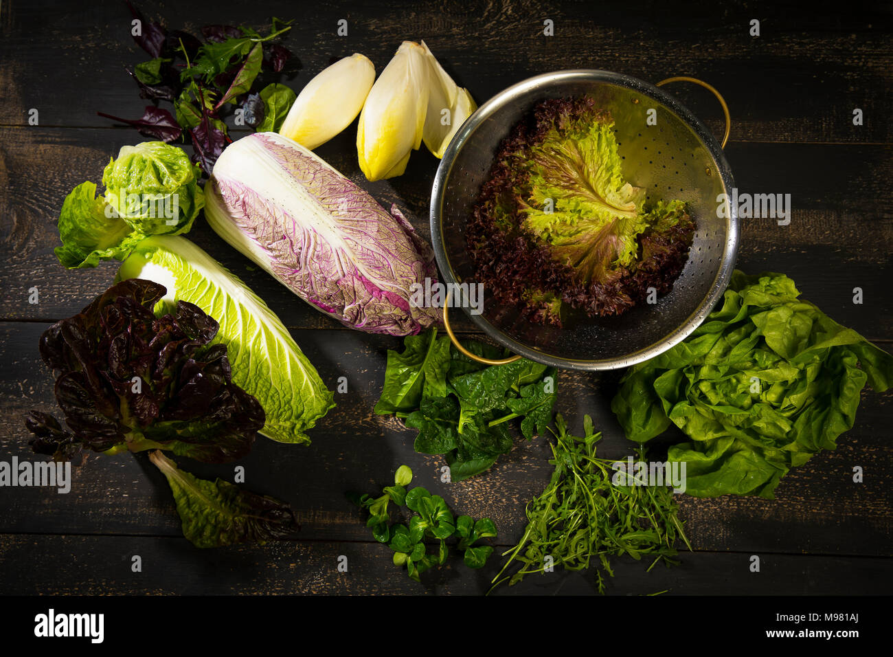 Verschiedene Arten von Salaten Stockfoto