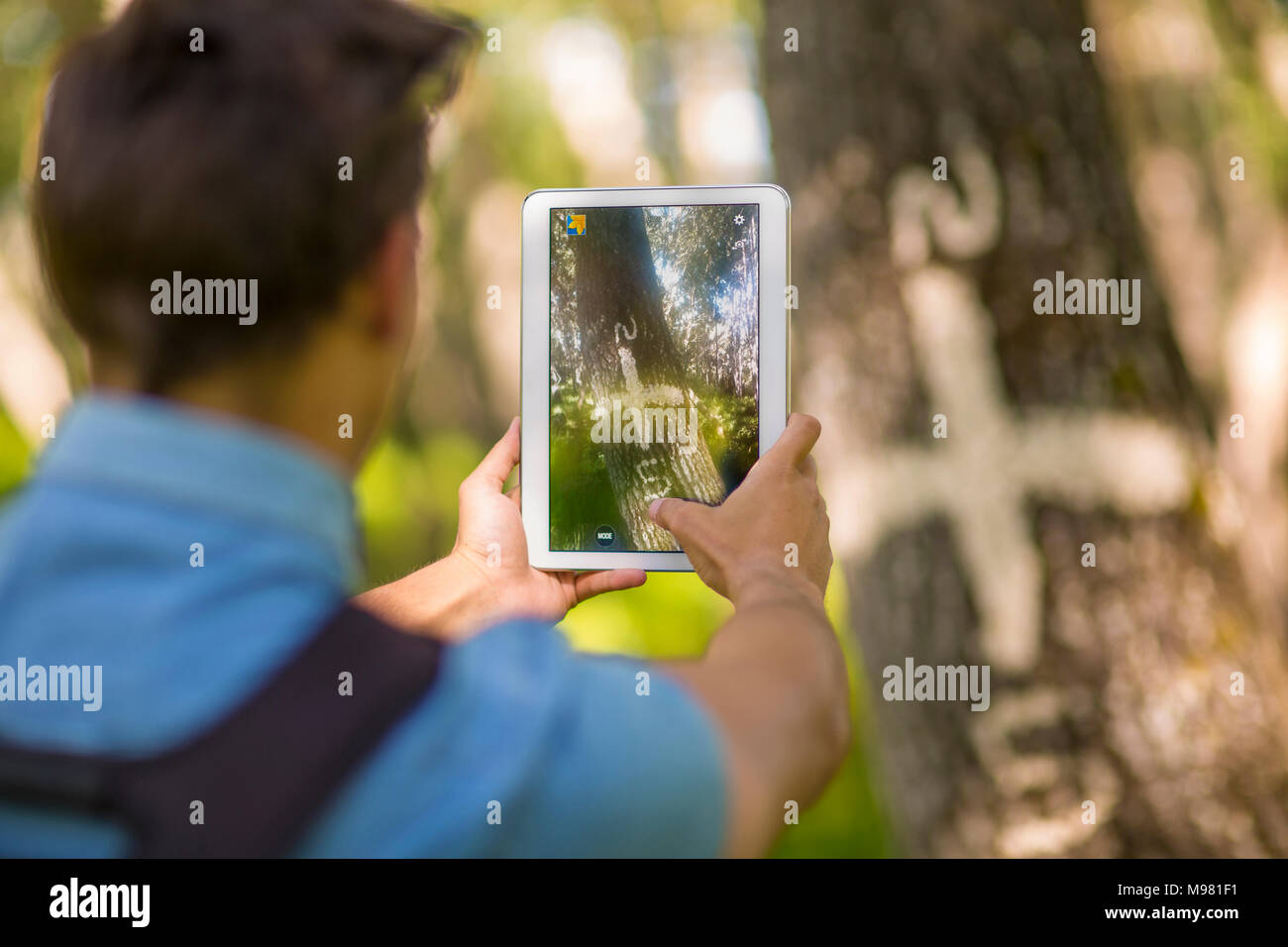 Rückansicht des Menschen Fotos mit Tablette in den Wald Stockfoto