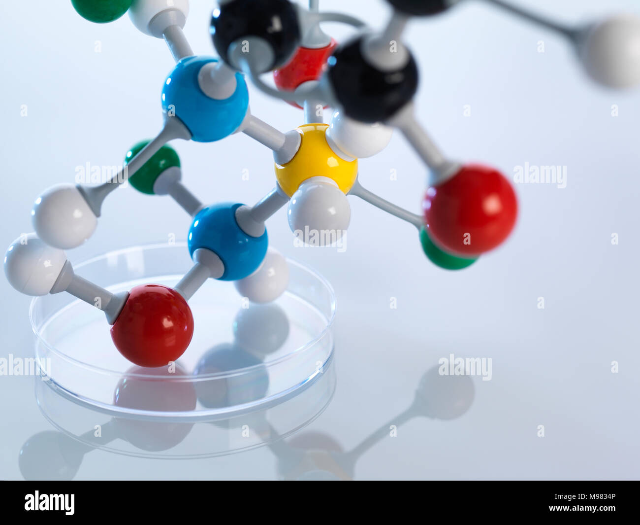 Molekulare Modell in der Petrischale Stockfoto