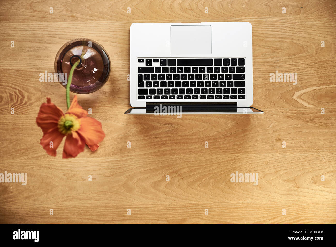 Laptop und Mohn in Blüte vease auf Holz, Ansicht von oben Stockfoto