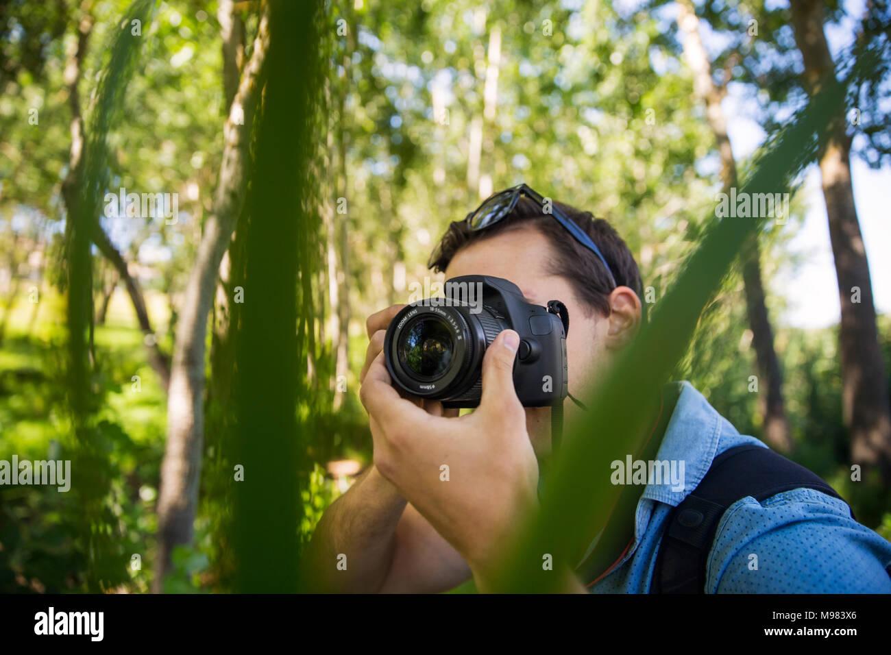 Man Fotos im Wald Stockfoto