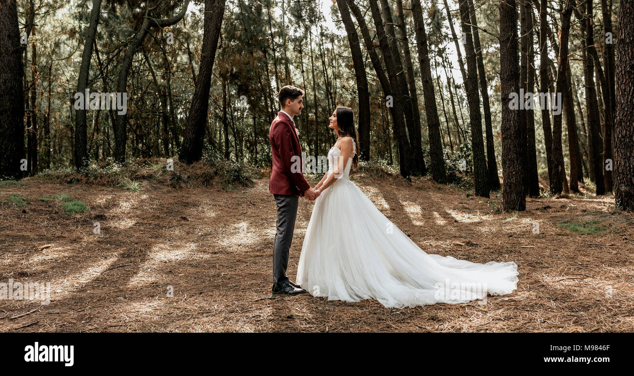 Braut und Bräutigam stehen im Wald halten sich an den Händen Stockfoto