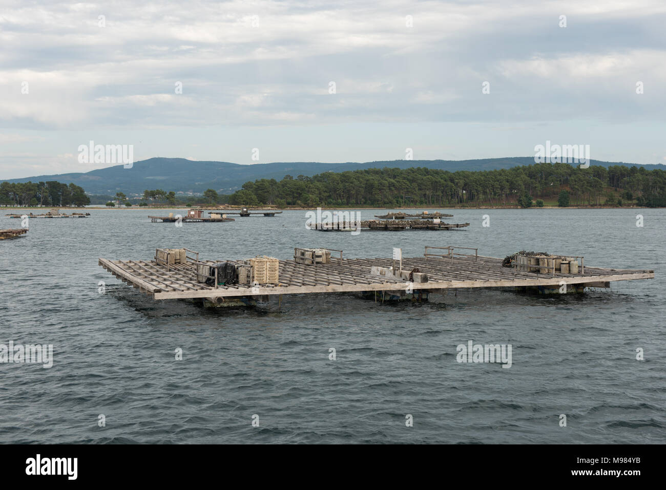 Mussel Aquakultur Flöße, Batea, in Arousa Mündung, Galizien, Spanien Stockfoto