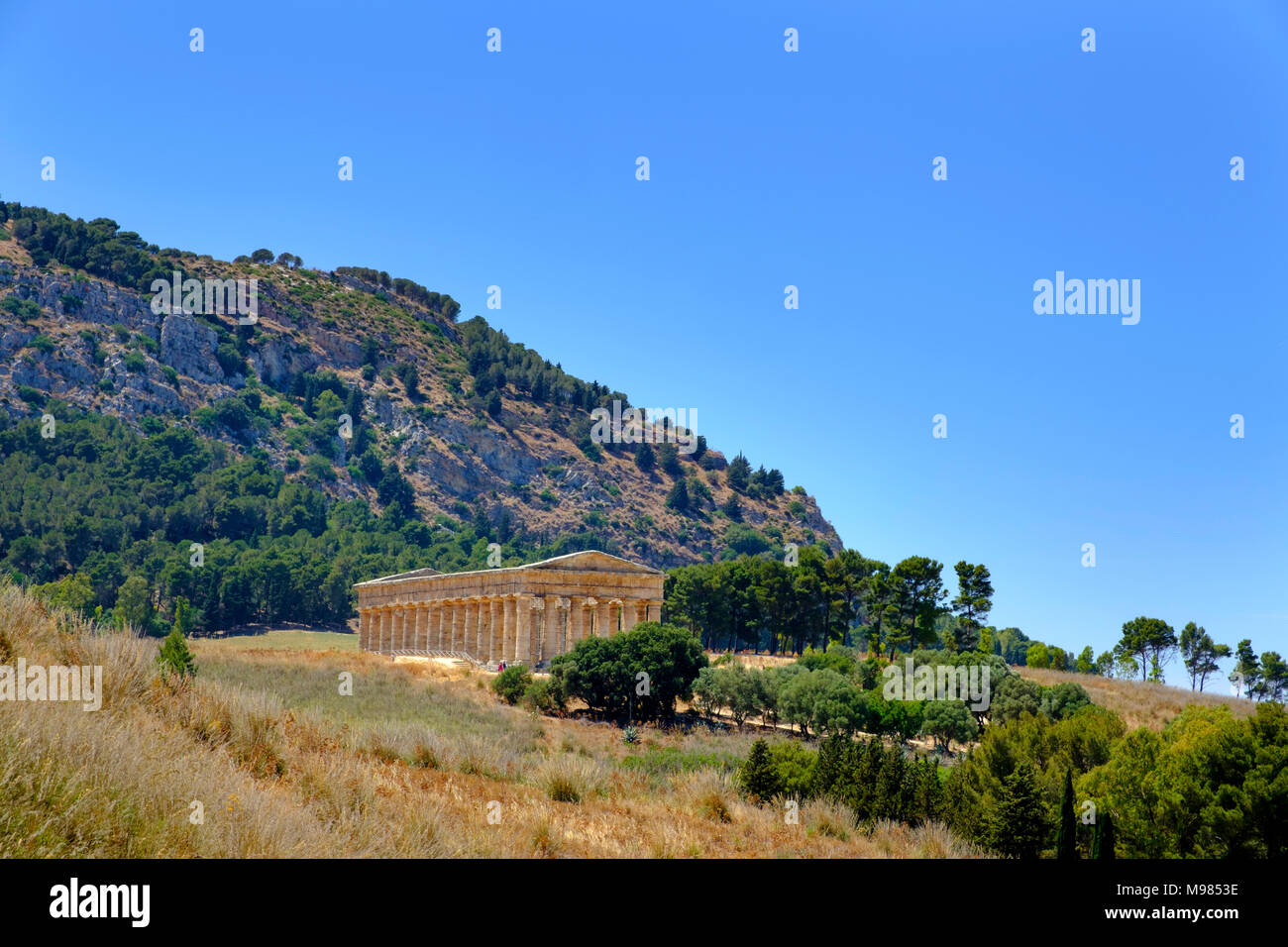 Griechischen Tempelanlage, Segesta, Trapani, Sizilien, Italien Stockfoto