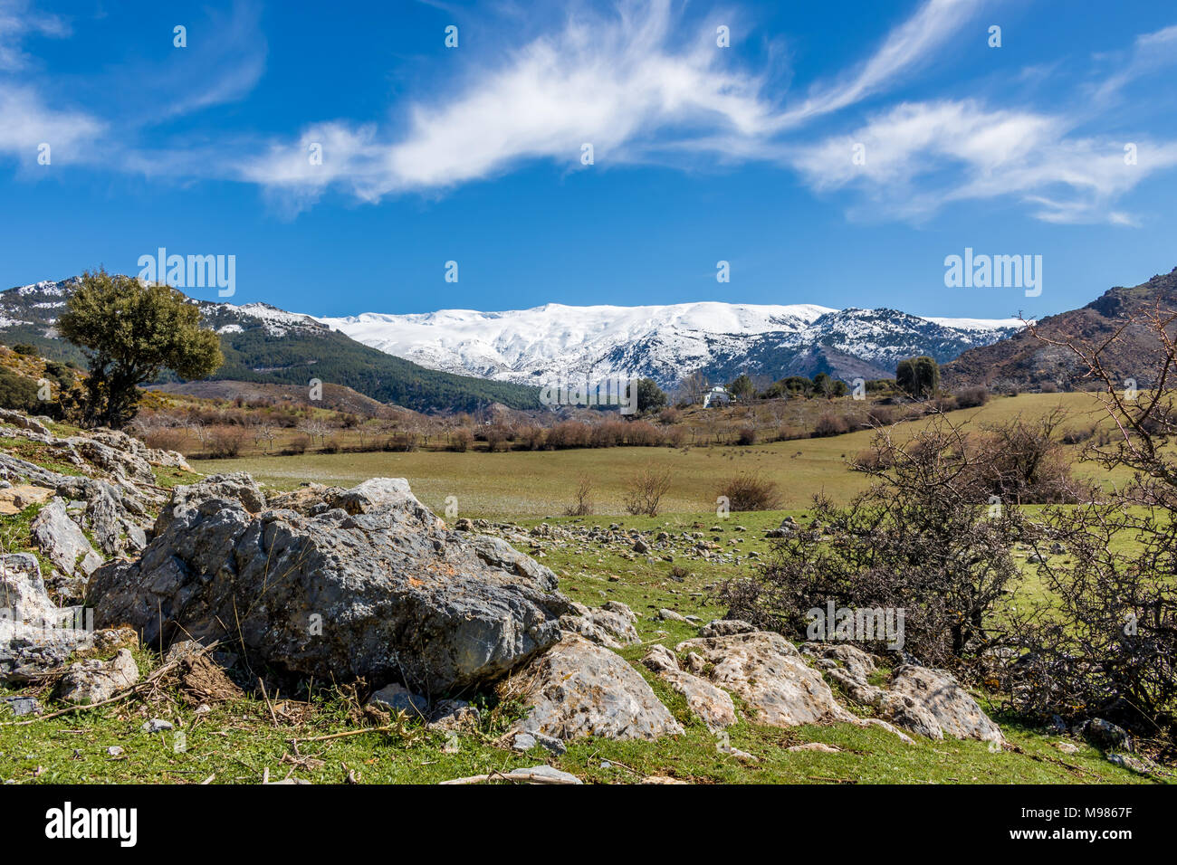 Einen schönen mediterranen Landschaft mit schneebedeckten Berge im Hintergrund. Stockfoto