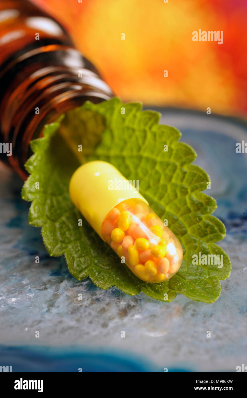Alternative Medizin mit pflanzliche Pille der Heilpflanze Stockfoto