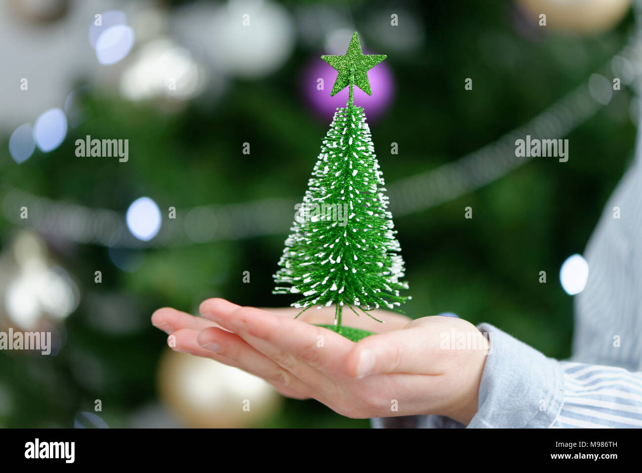 Junge, Art hält einen kleinen Tannenbaum mit Lichterketten vor dem Christbaum, Lets, Bayern, Deutschland Stockfoto