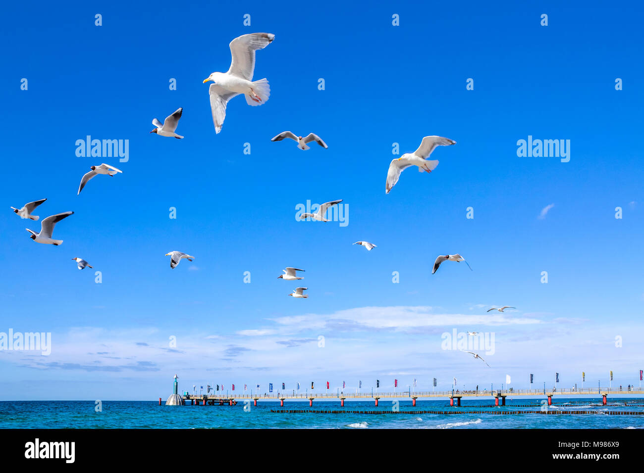 Deutschland, Mecklenburg-Vorpommern, Zingst, fliegende Möwen und Meer Brücke Stockfoto