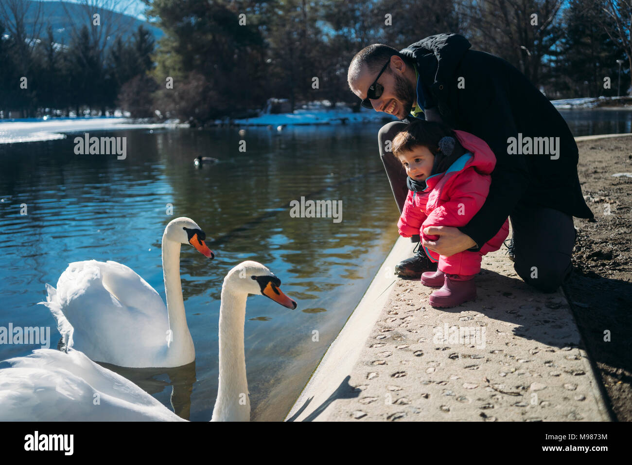 Frankreich, Osseja See, Cute Baby mit Vater beobachtete die Schwäne in einem Park Stockfoto