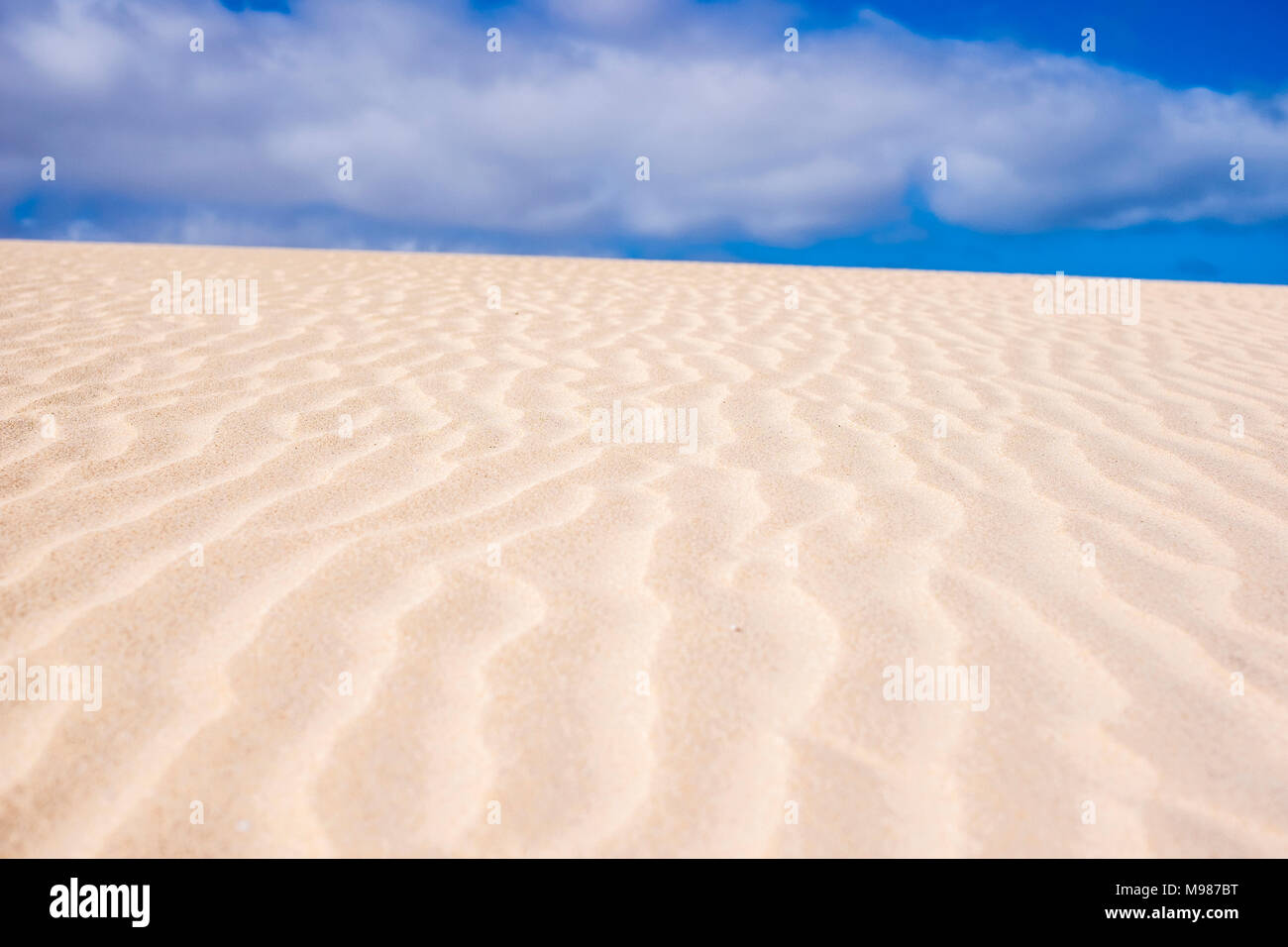 Spanien, Kanarische Inseln, Fuerteventura, Dune Stockfoto