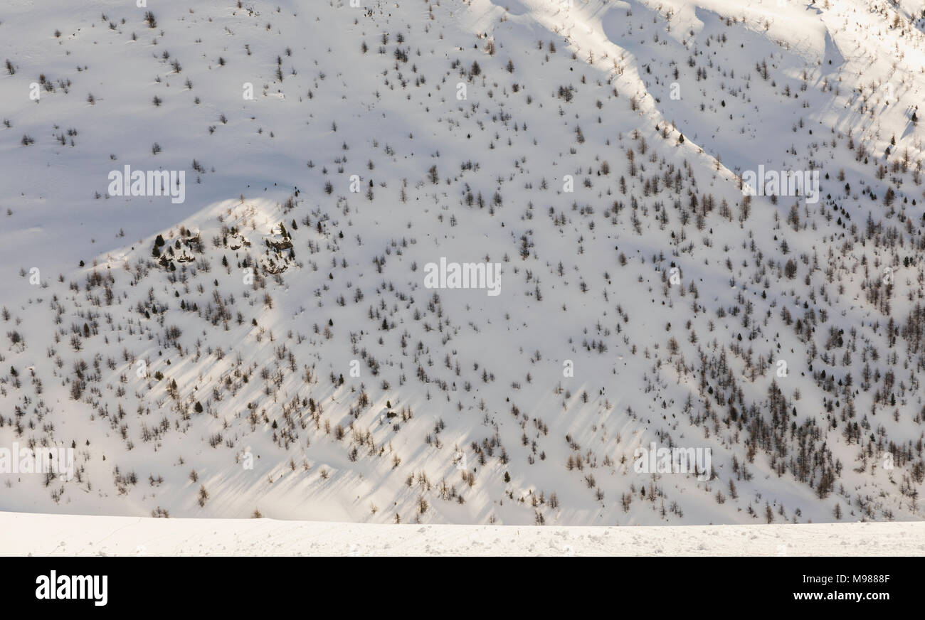 Schweiz, Engadin, Seite eines Berges mit Felsen und Bäume wachsen aus dem Schnee Stockfoto