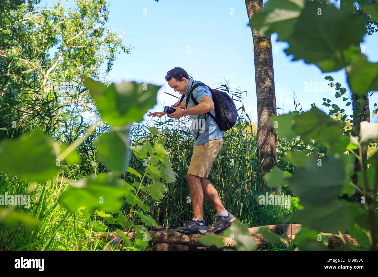 Mann mit Kamera Balancieren auf Baumstamm in der Natur Stockfoto
