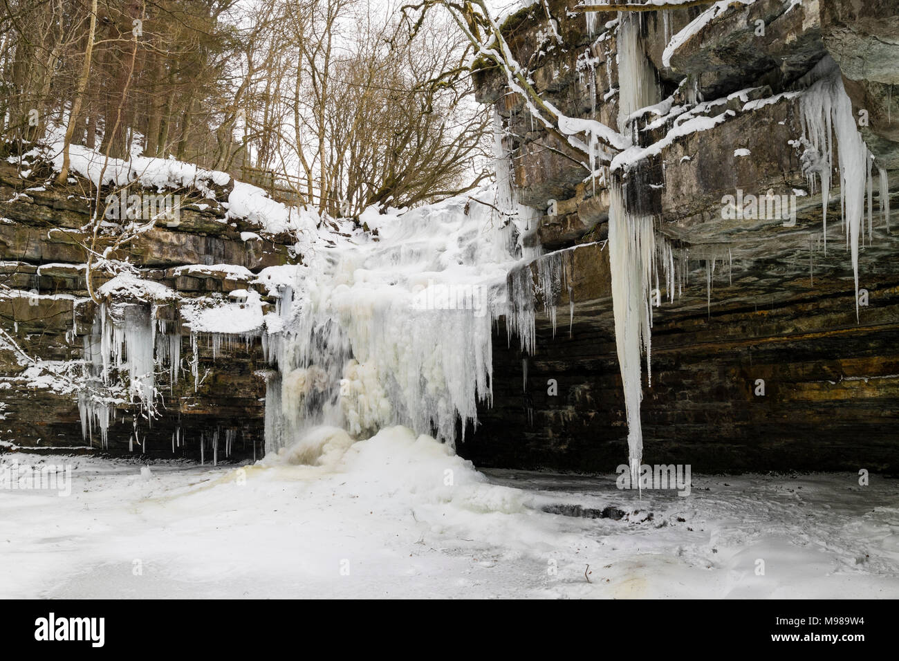 Summerhill Kraft und Gibson's Höhle im Winter, Bowlees, Obere Teesdale, County Durham, UK. Stockfoto