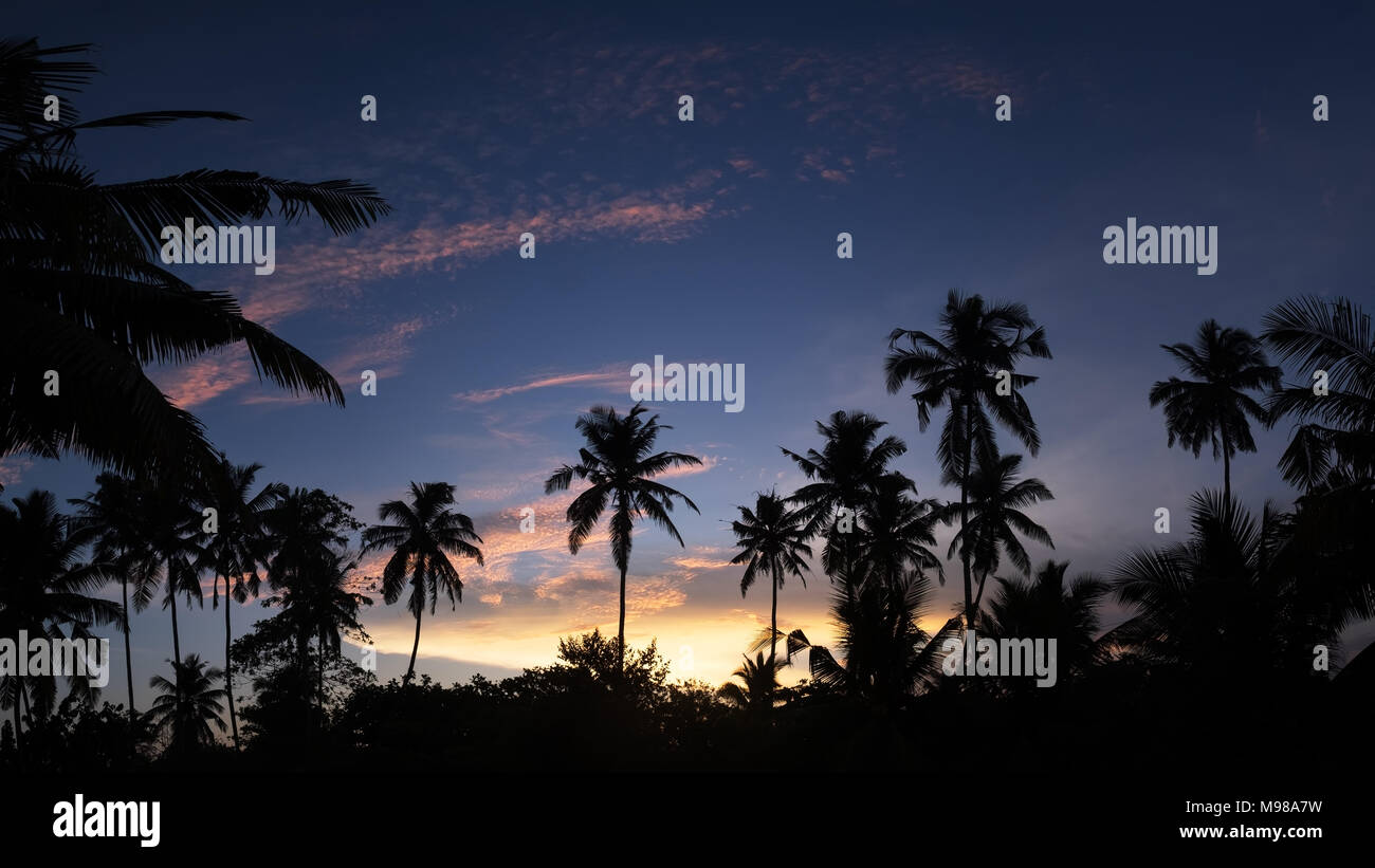 Tropische Nacht Blick auf Palmen Silhouetten und Sonnenuntergang Himmel. Stockfoto