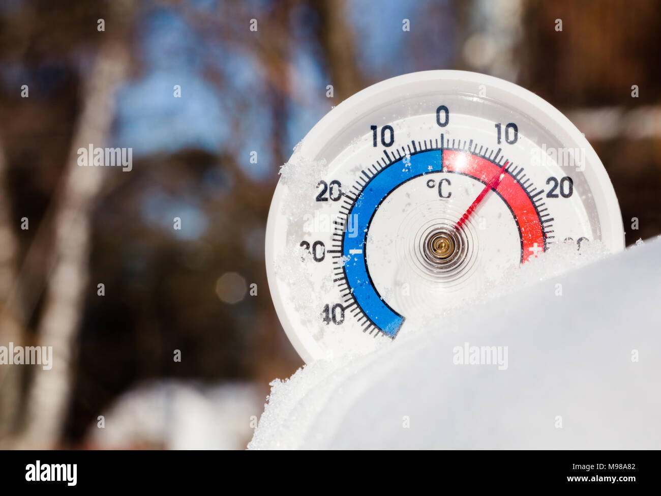 Thermometer mit Celsius im schmelzenden Schnee mit plus 12 Grad Celsius warmen Wetter im Frühling oder die globale Erwärmung Konzept Stockfoto